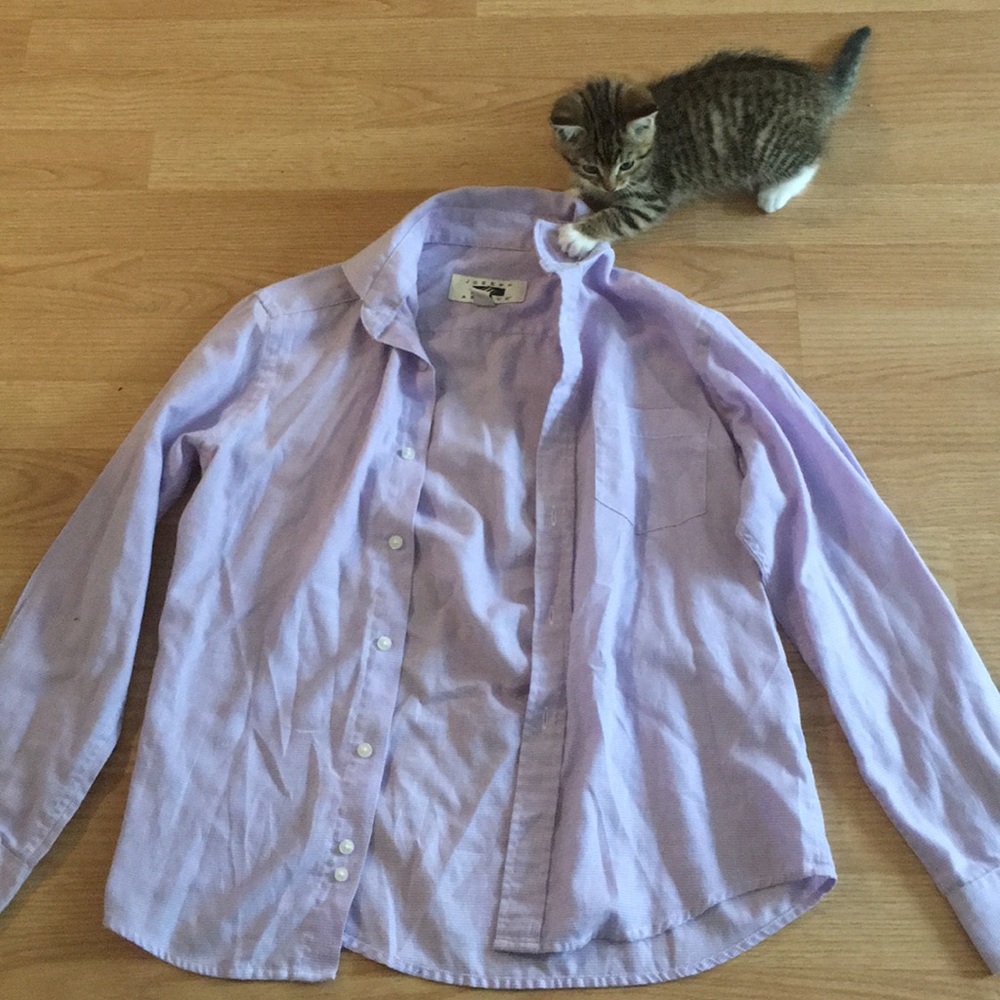 💛Little Boys Purple Dress Shirt
